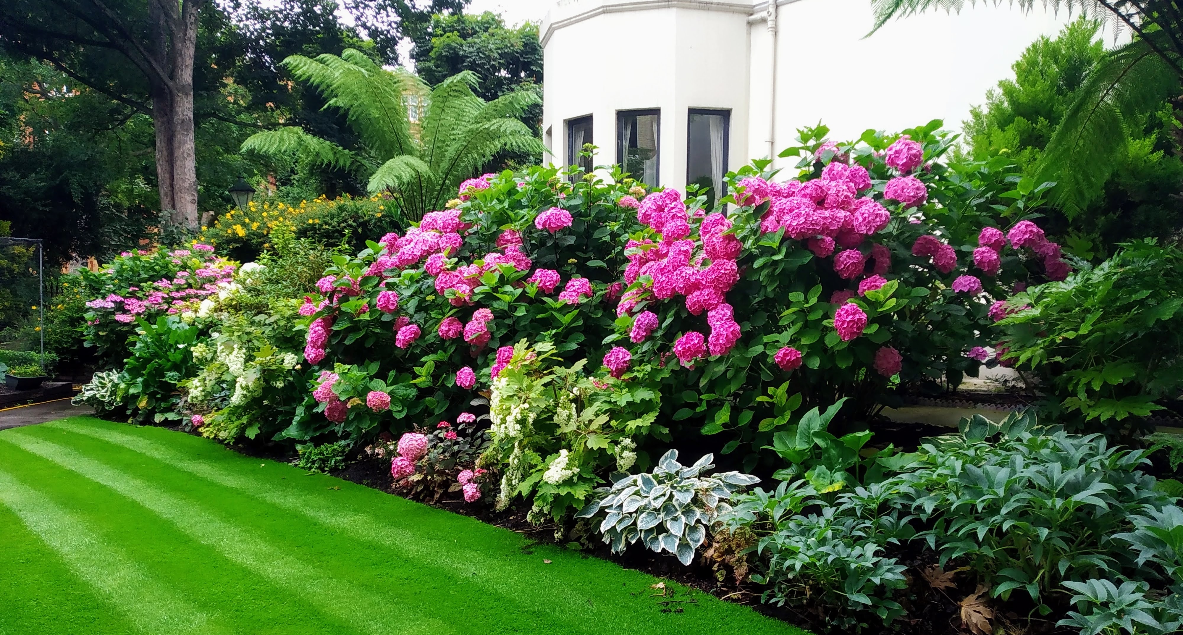 Bed and Lawn with irrigation system installed