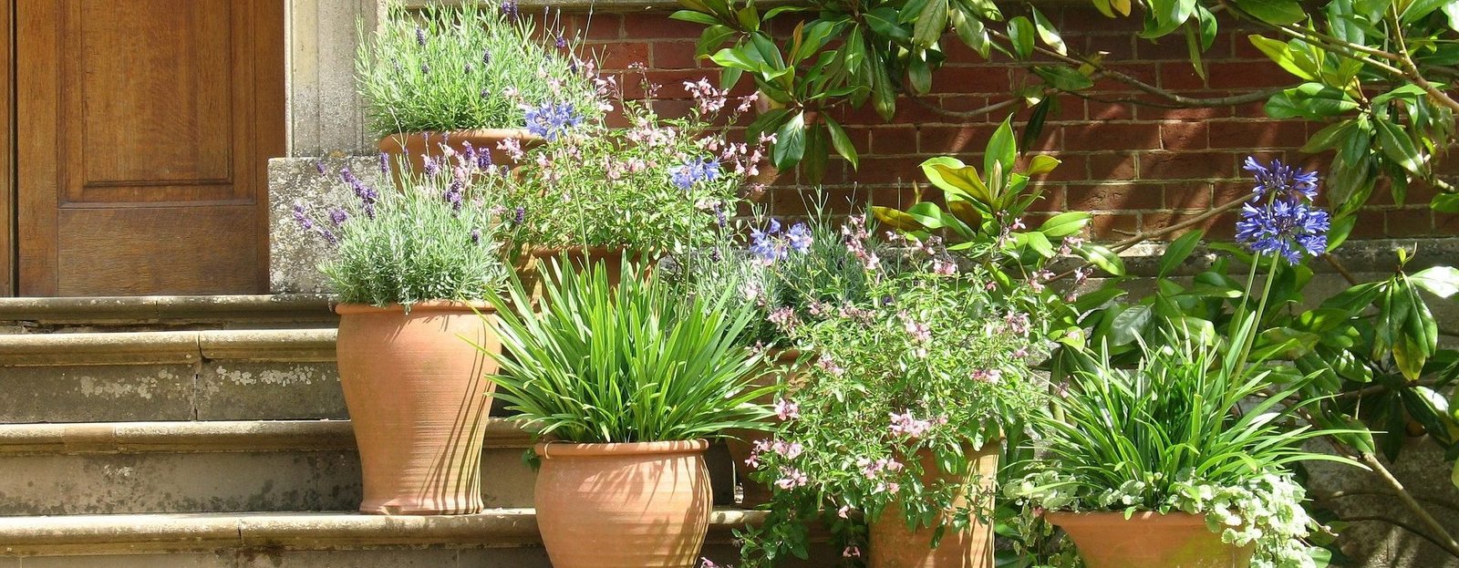 pots and planters on stairs watered by irrigation system