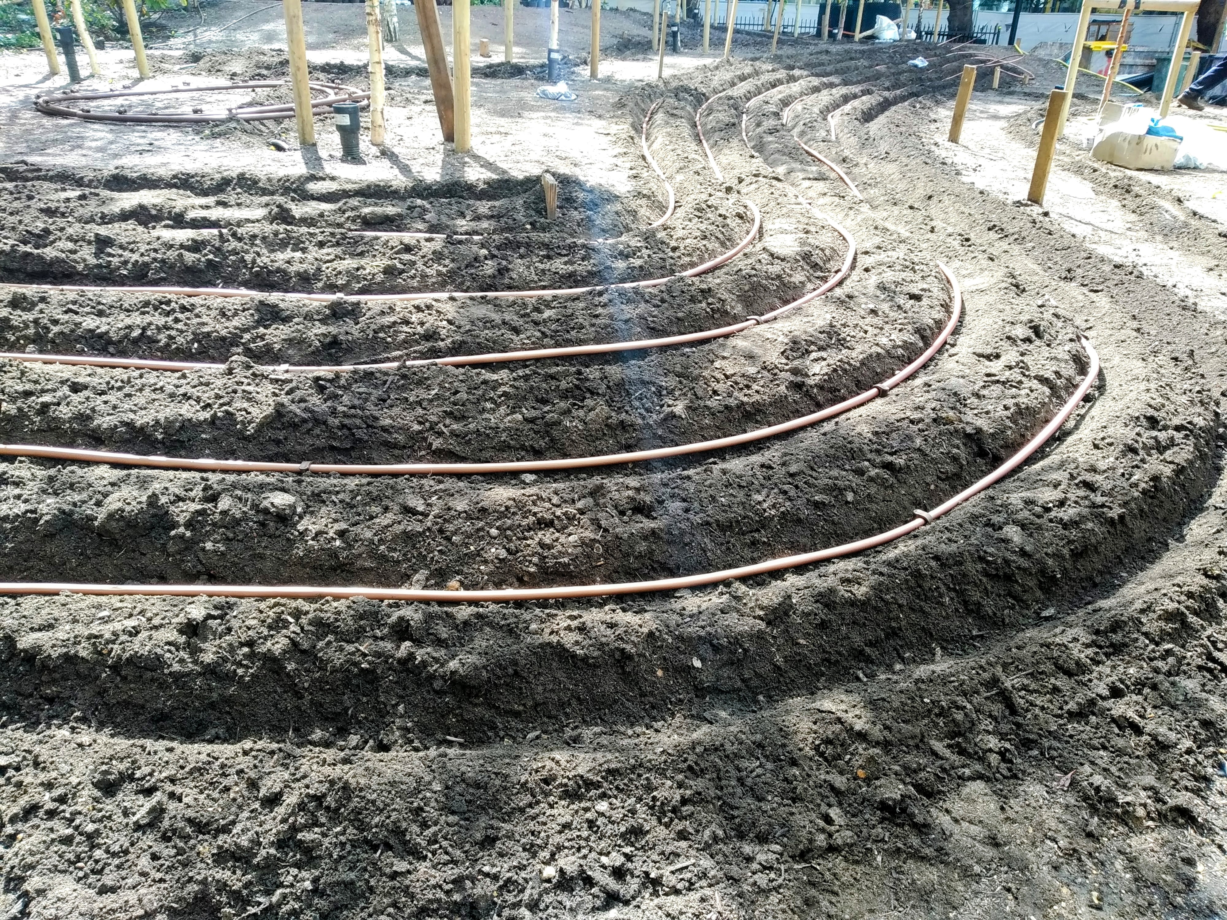 installation of subsurface dripline